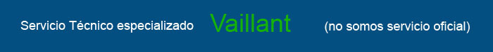 Servicio Tecnico Vaillant